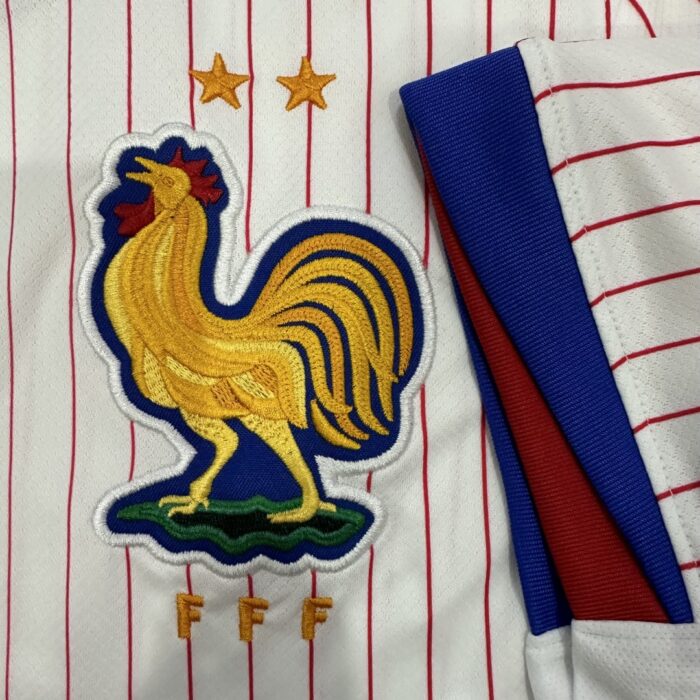 Awya Jersey 2024 France - Image 5